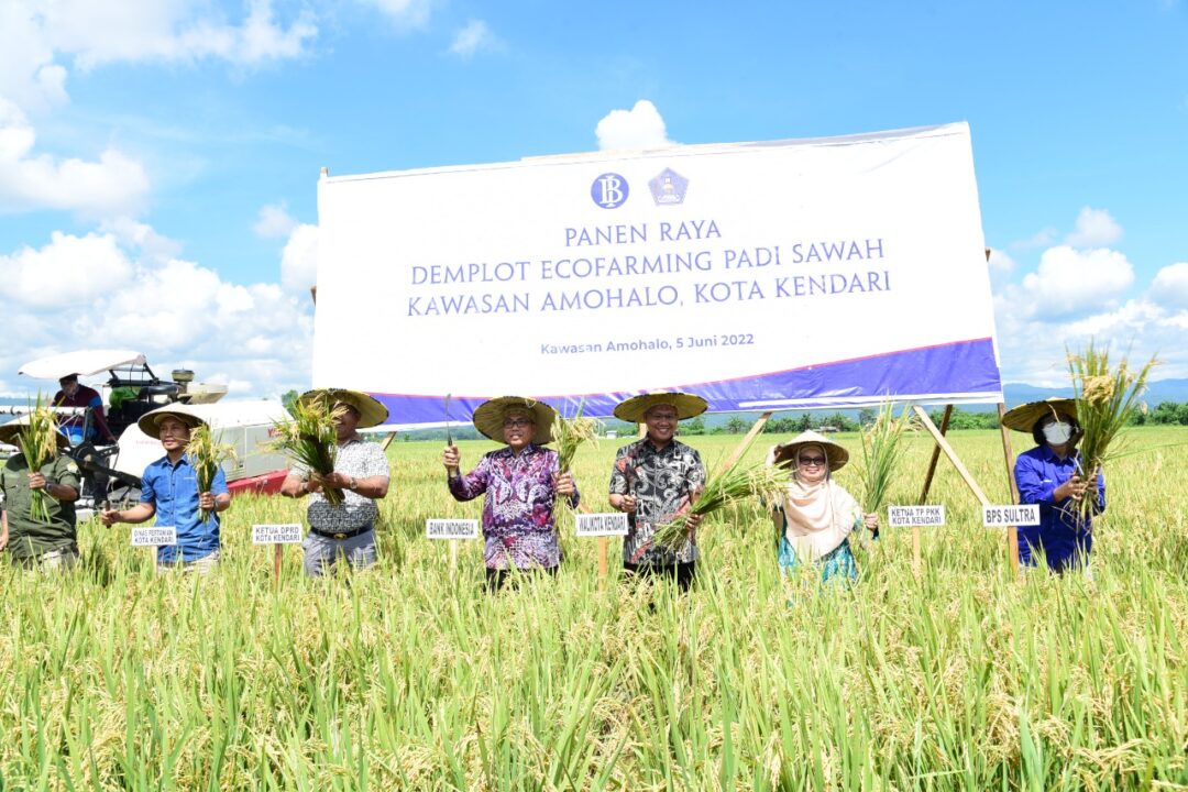 Panen Raya Demplot Ecofarming di Baruga Meningkat Hingga 9 Ton