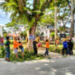 2 Team Satgas Penataan Kota Kendari Kembali Jalankan Tugas Penebangan Pohon