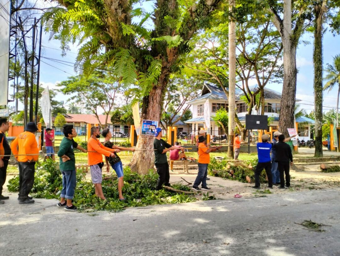 2 Team Satgas Penataan Kota Kendari Kembali Jalankan Tugas Penebangan Pohon